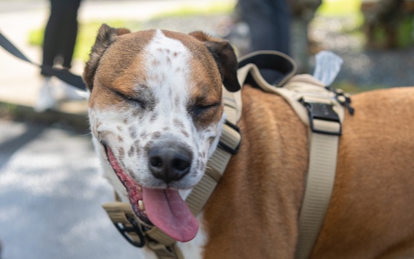 Coffee and Pups Event