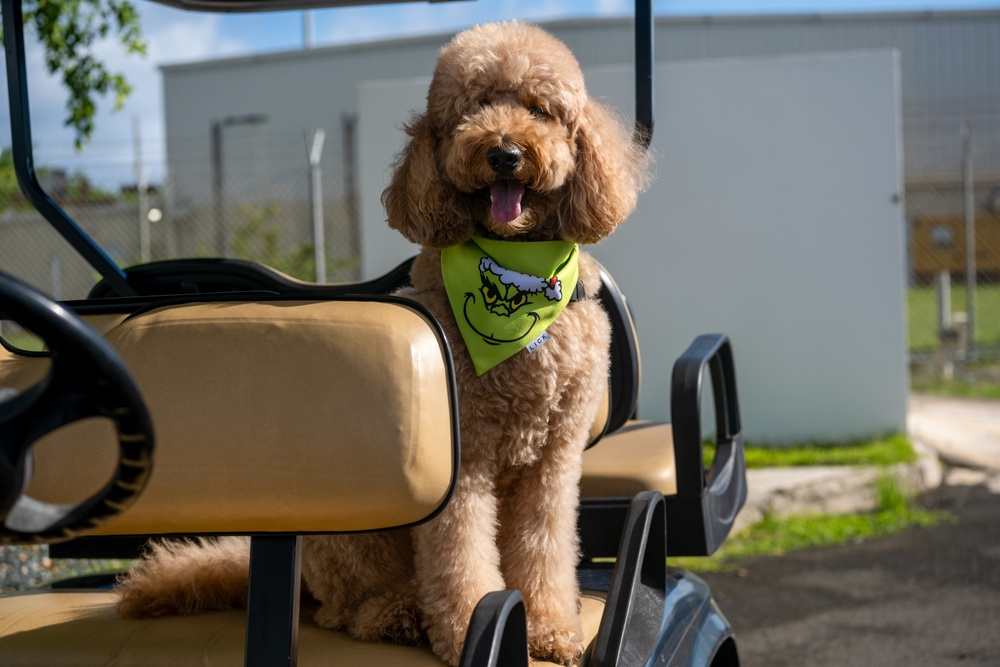 Coffee and Pups Event