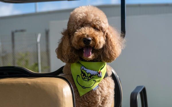 Coffee and Pups Event