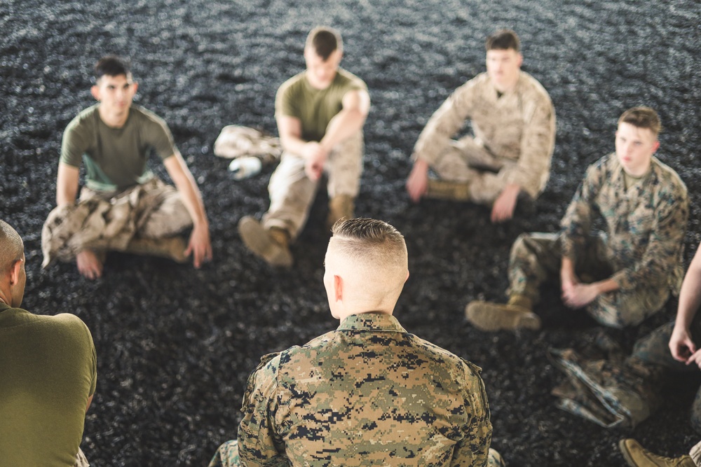 MAG-31 Marines Complete Confidence Course