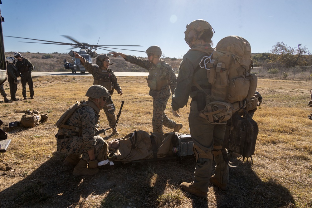 U.S. Navy corpsmen conduct mass casualty evacuation drill during Steel Knight 24