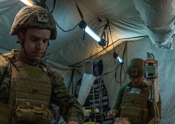 U.S. Navy corpsmen conduct mass casualty evacuation drill during Steel Knight 24