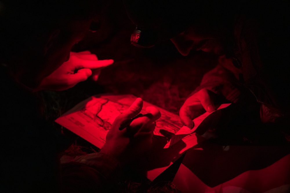 Alpha Co., 603d ASB conduct night land nav