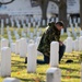 2024 Wreaths Across America Day at ANC