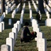 2024 Wreaths Across America Day at ANC