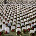 2024 Wreaths Across America Day at ANC