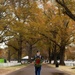 Wreaths Across America at Memphis National Cemetery