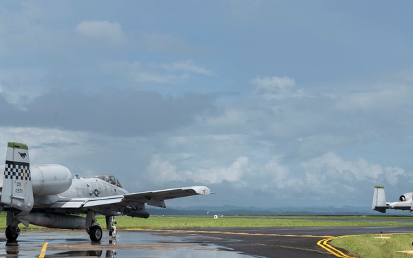 Dynamic Force Employment: USAF A-10s collaborate with PAF