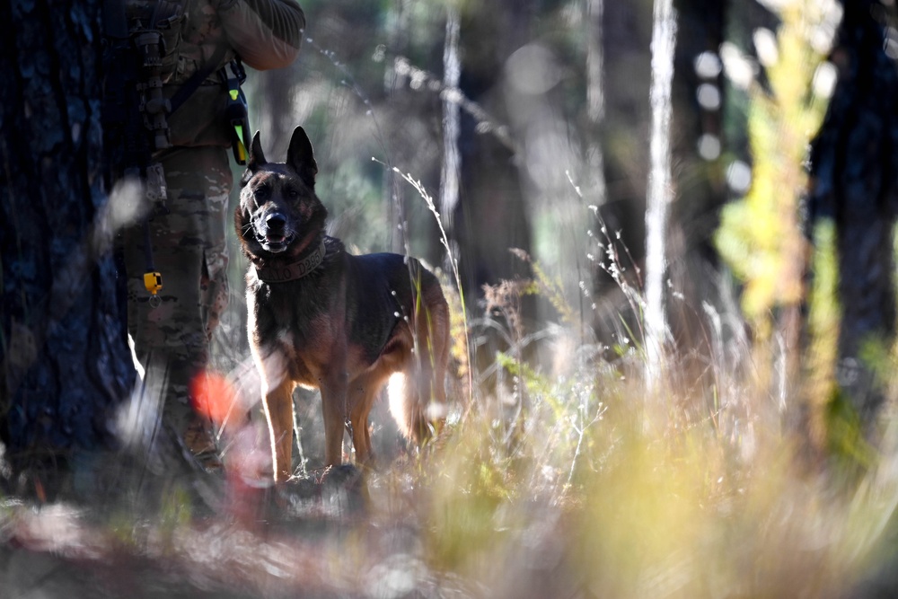 20th SFS hits the ground running in first-ever Sentinel Seed exercise