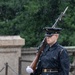 Tomb Guard Walks the Mat in the Rain