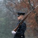 Tomb Guard Walks the Mat in the Rain