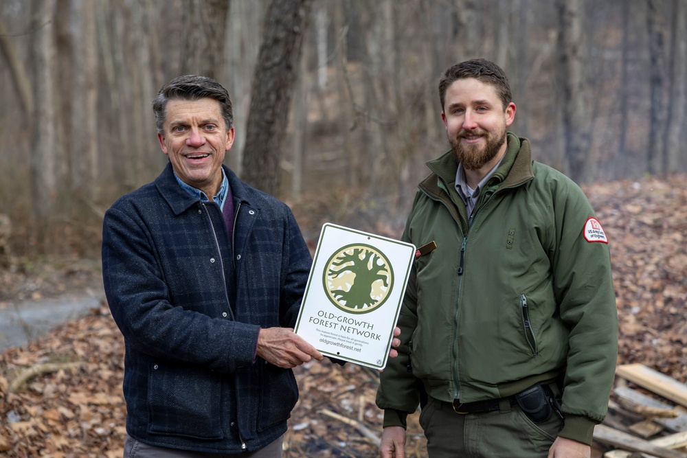 From curiosity to conservation: How a young park ranger discovered two rare, old-growth forests