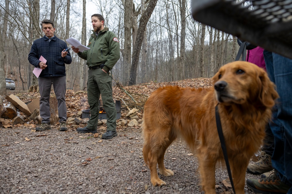 From curiosity to conservation: How a young park ranger discovered two rare, old-growth forests