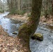 From curiosity to conservation: How a young park ranger discovered two rare, old-growth forests