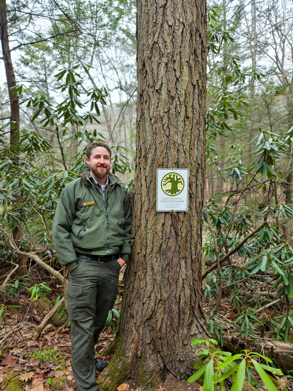 From curiosity to conservation: How a young park ranger discovered two rare, old-growth forests