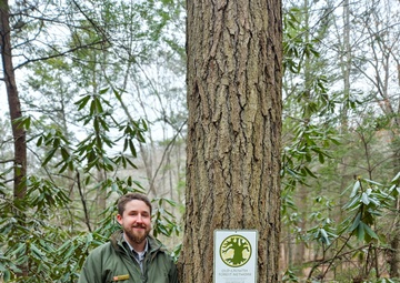 From curiosity to conservation: How a young park ranger discovered two rare, old-growth forests