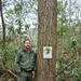 From curiosity to conservation: How a young park ranger discovered two rare, old-growth forests