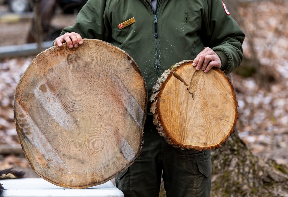 From curiosity to conservation: How a young park ranger discovered two rare, old-growth forests