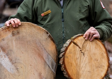 From curiosity to conservation: How a young park ranger discovered two rare, old-growth forests