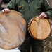 From curiosity to conservation: How a young park ranger discovered two rare, old-growth forests