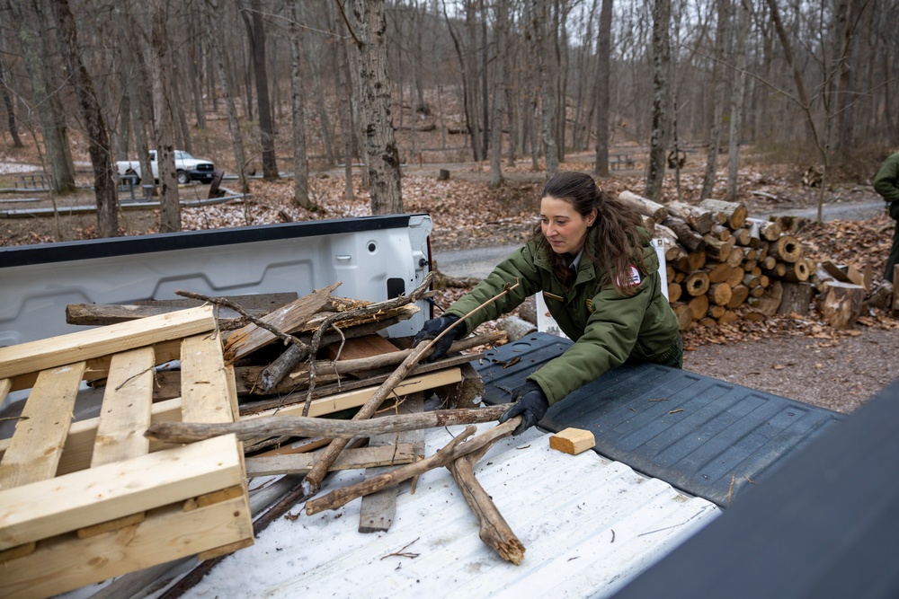 From curiosity to conservation: How a young park ranger discovered two rare, old-growth forests