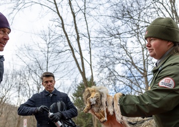 From curiosity to conservation: How a young park ranger discovered two rare, old-growth forests