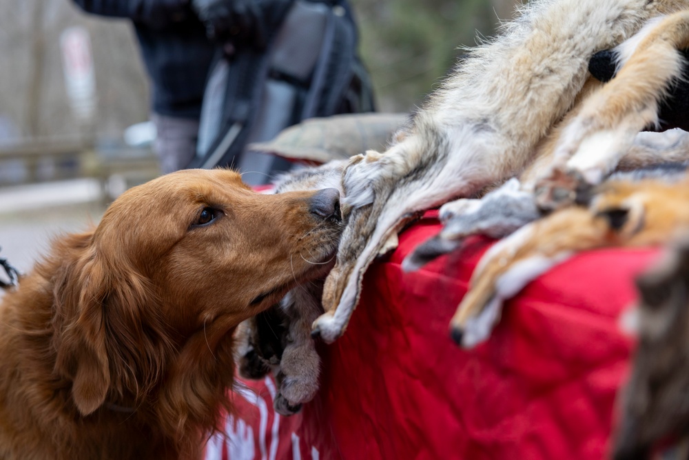 From curiosity to conservation: How a young park ranger discovered two rare, old-growth forests