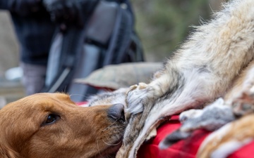 From curiosity to conservation: How a young park ranger discovered two rare, old-growth forests