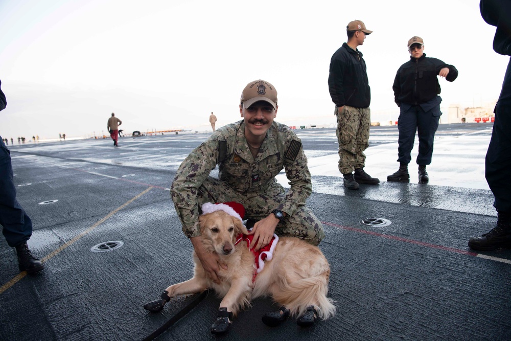 Makin Island Hosts Rescue Dogs