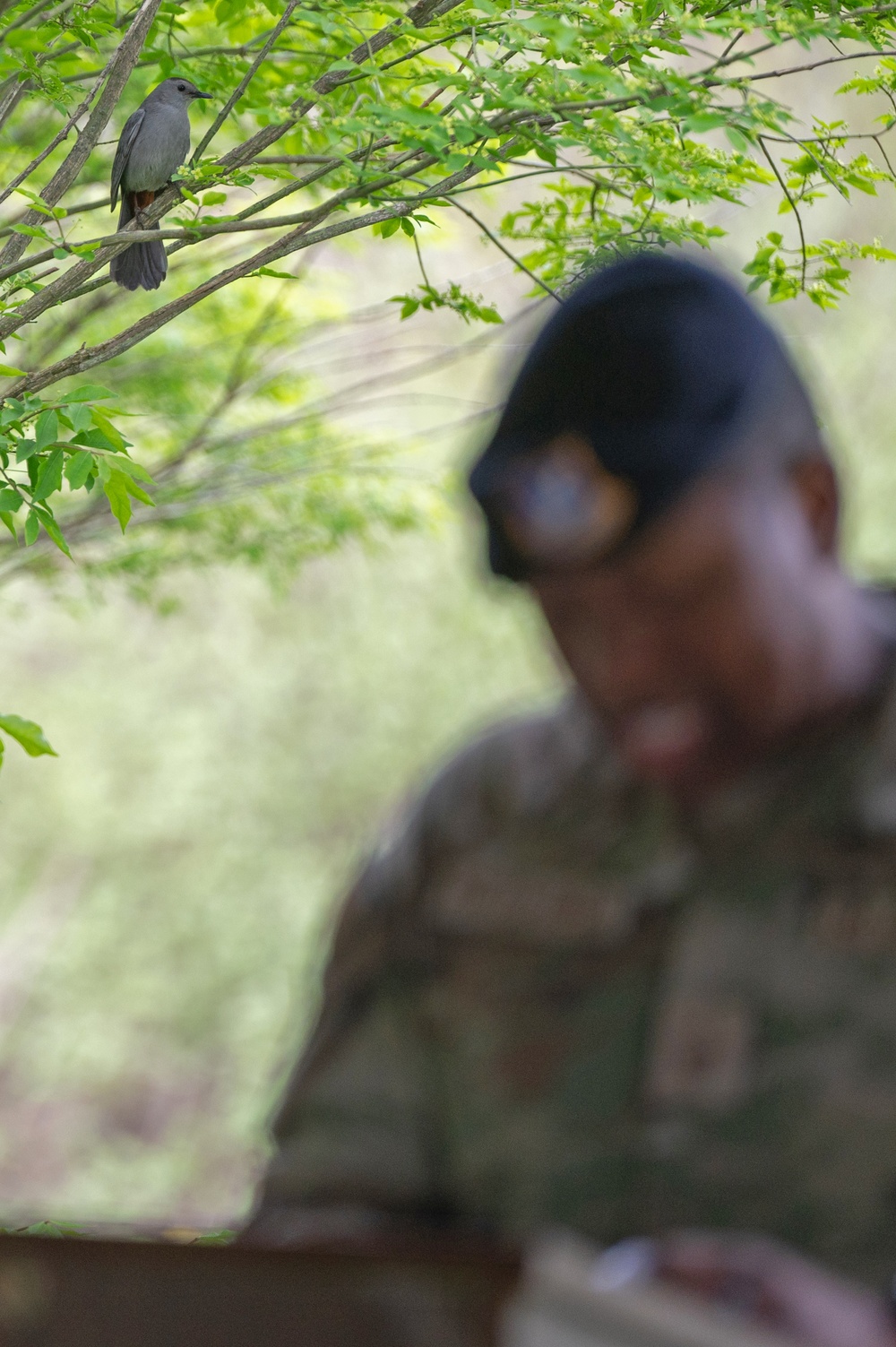 Vigil held to remember fallen defenders