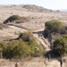 2nd Bn., 1st Marines conducts combat readiness evaluation