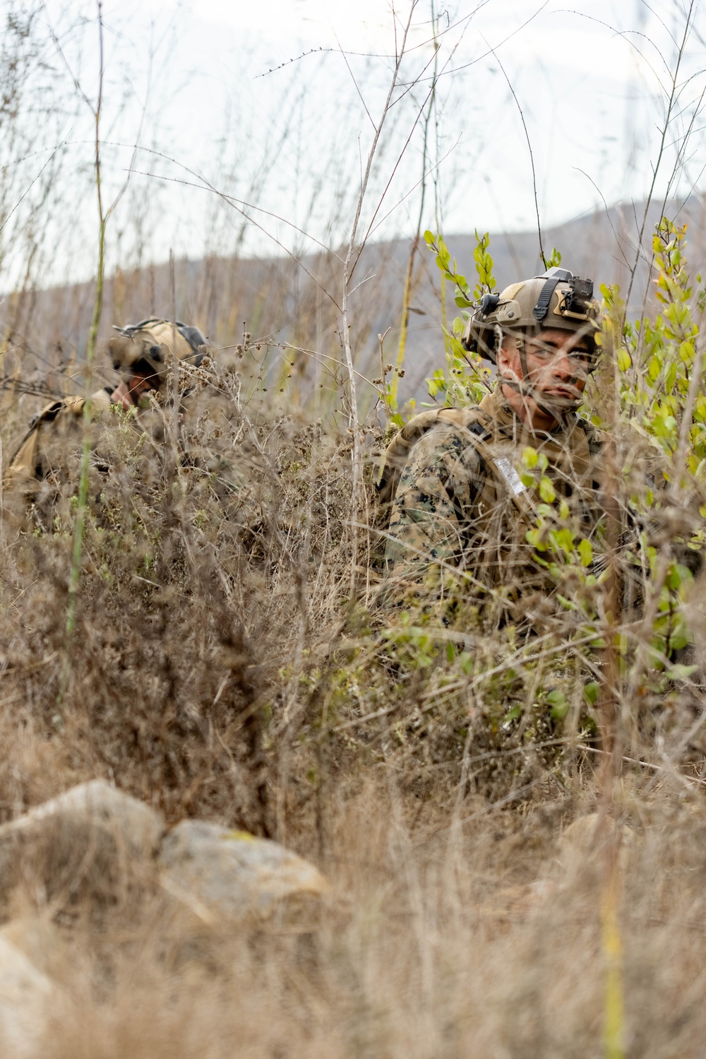 2nd Bn., 1st Marines conducts combat readiness evaluation