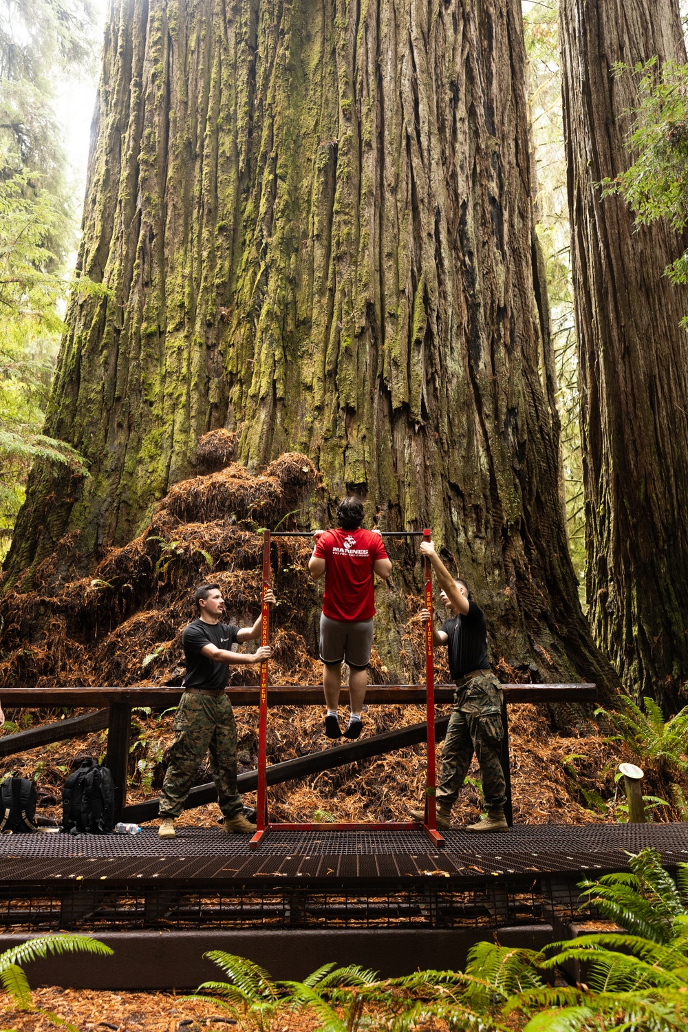 RS Portland visits Redwood National