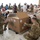 Operation Christmas Drop 24 Box Builds