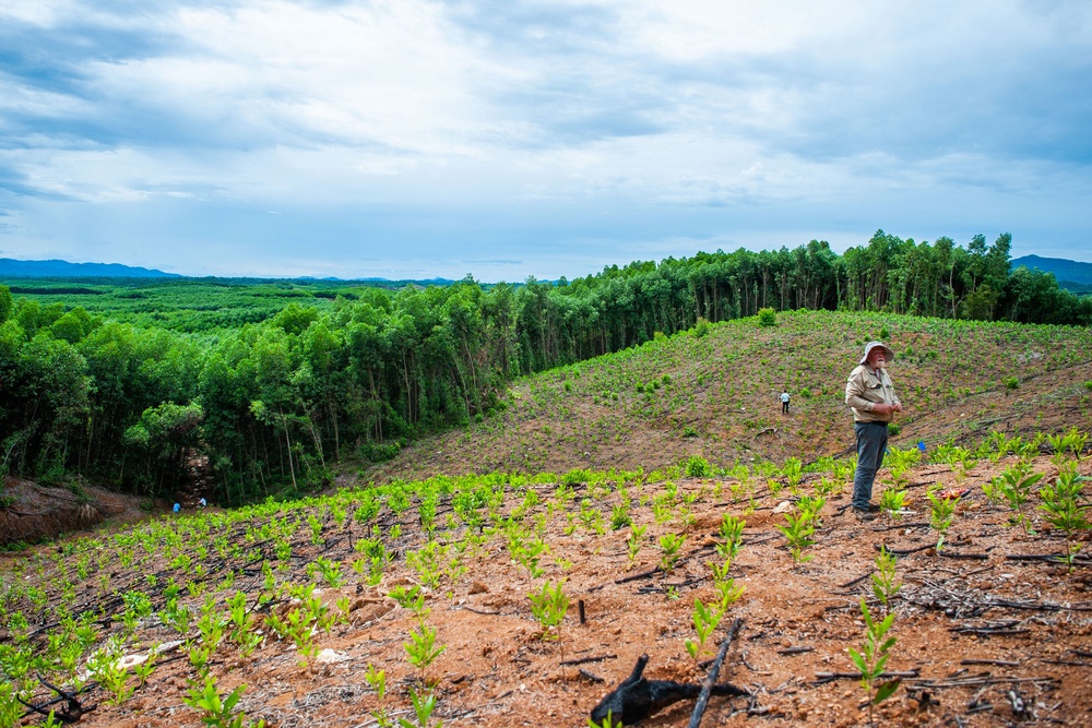 DPAA Recovery Team 24-4VN searches for downed pilot from Vietnam War