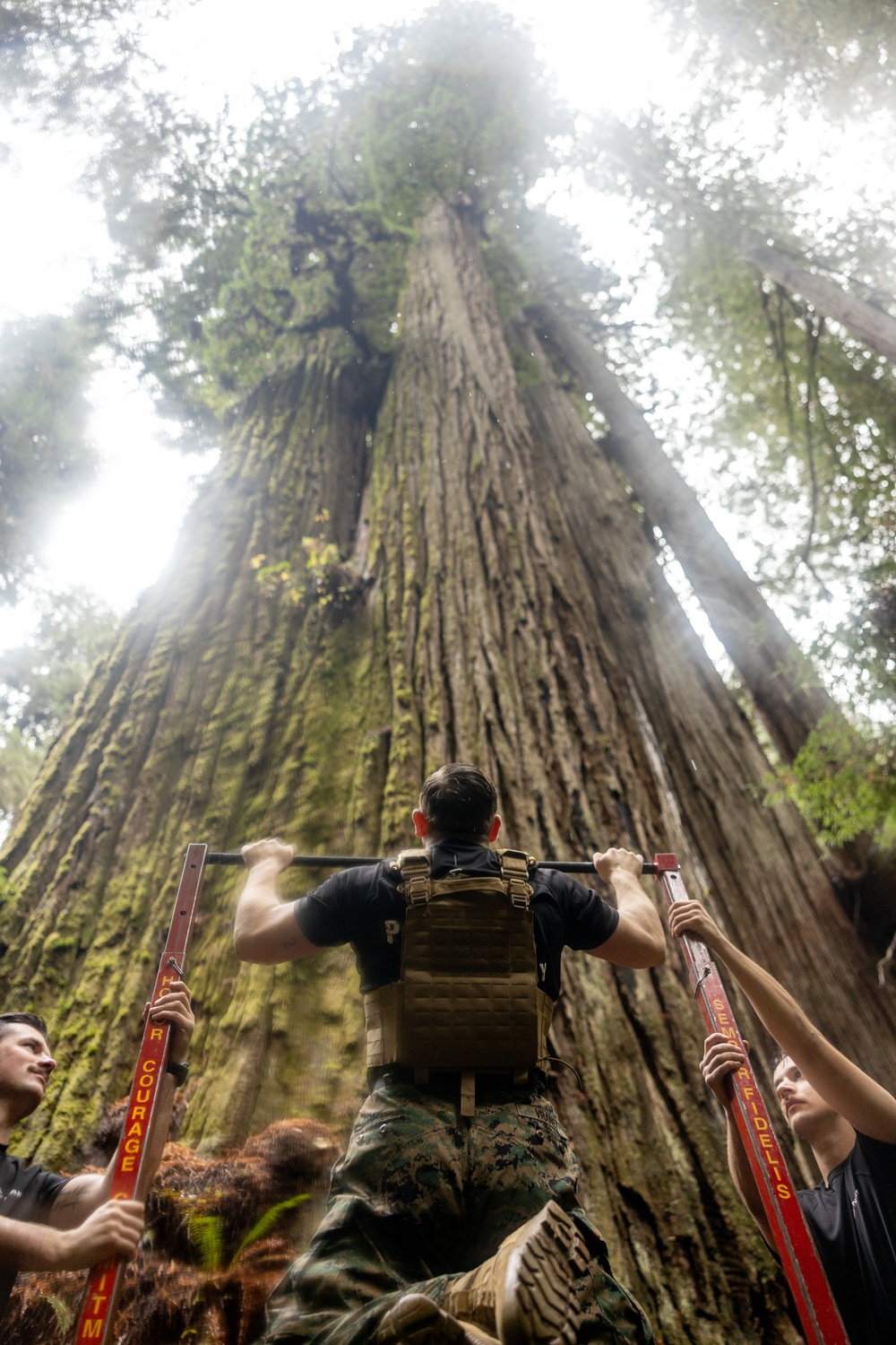 RS Portland visits Redwood National