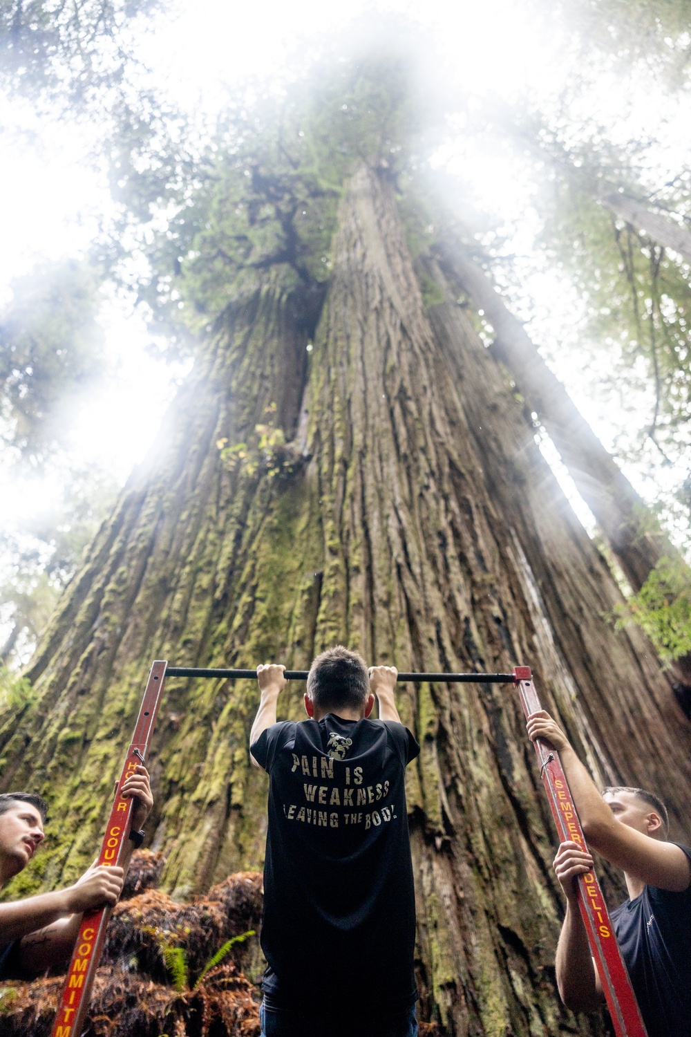 RS Portland visits Redwood National