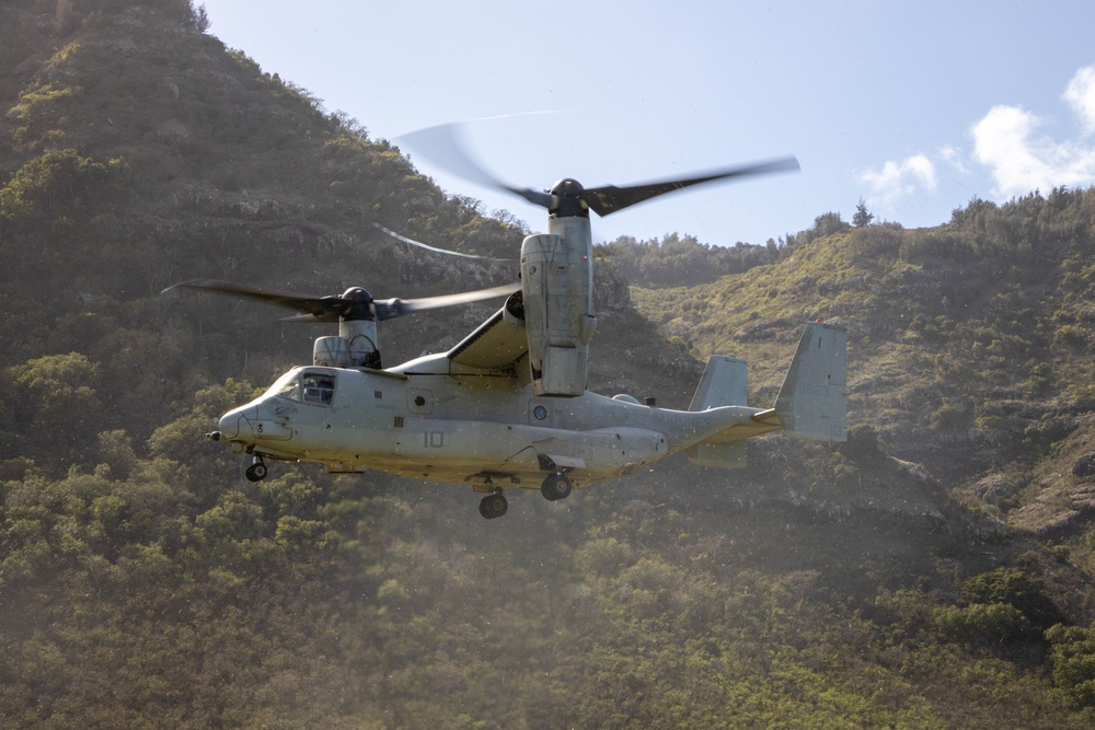 VMM-268 supports Joint-Operation Gun Raid training