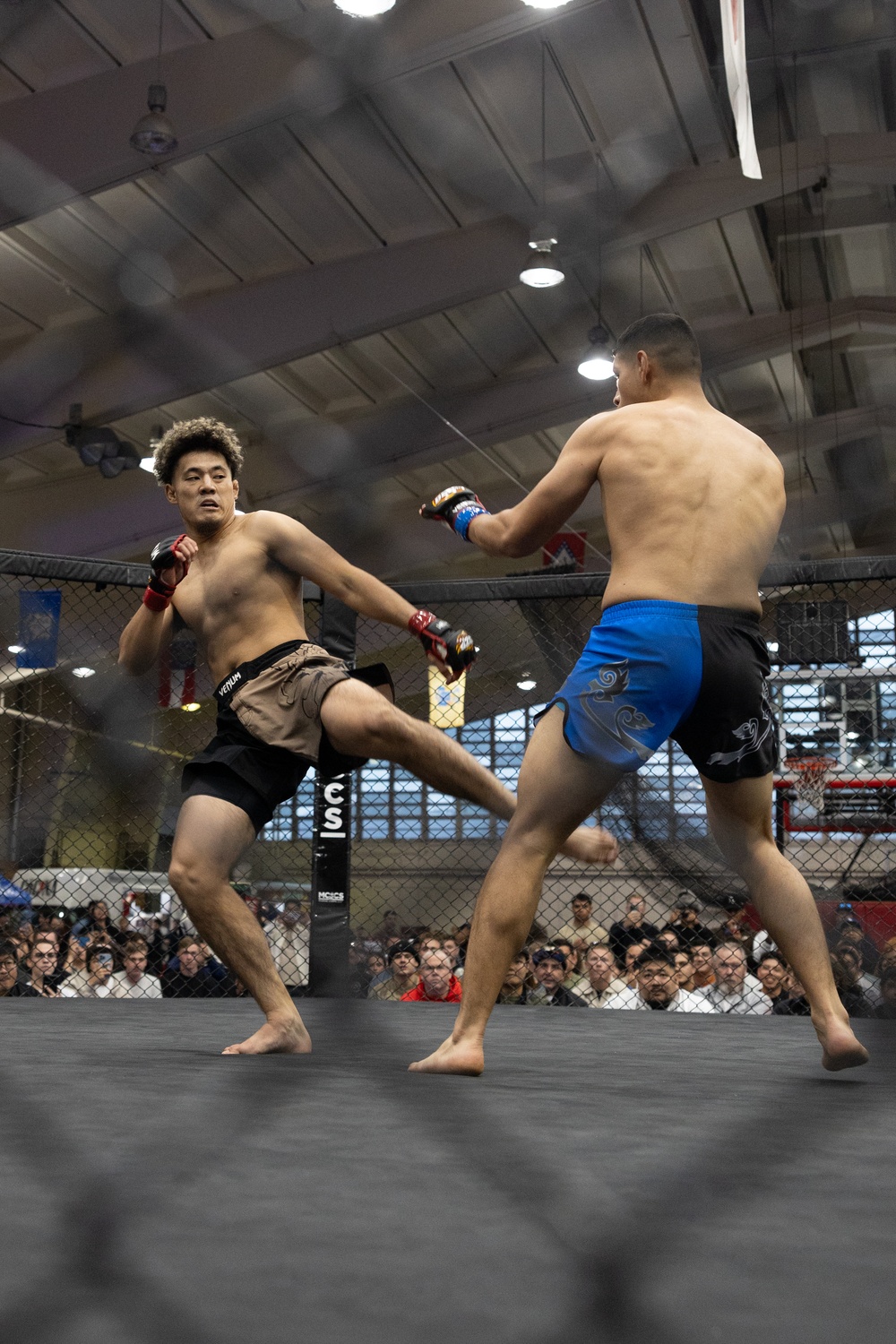 MCCS Okinawa hosts MMA Fight Night | 2024