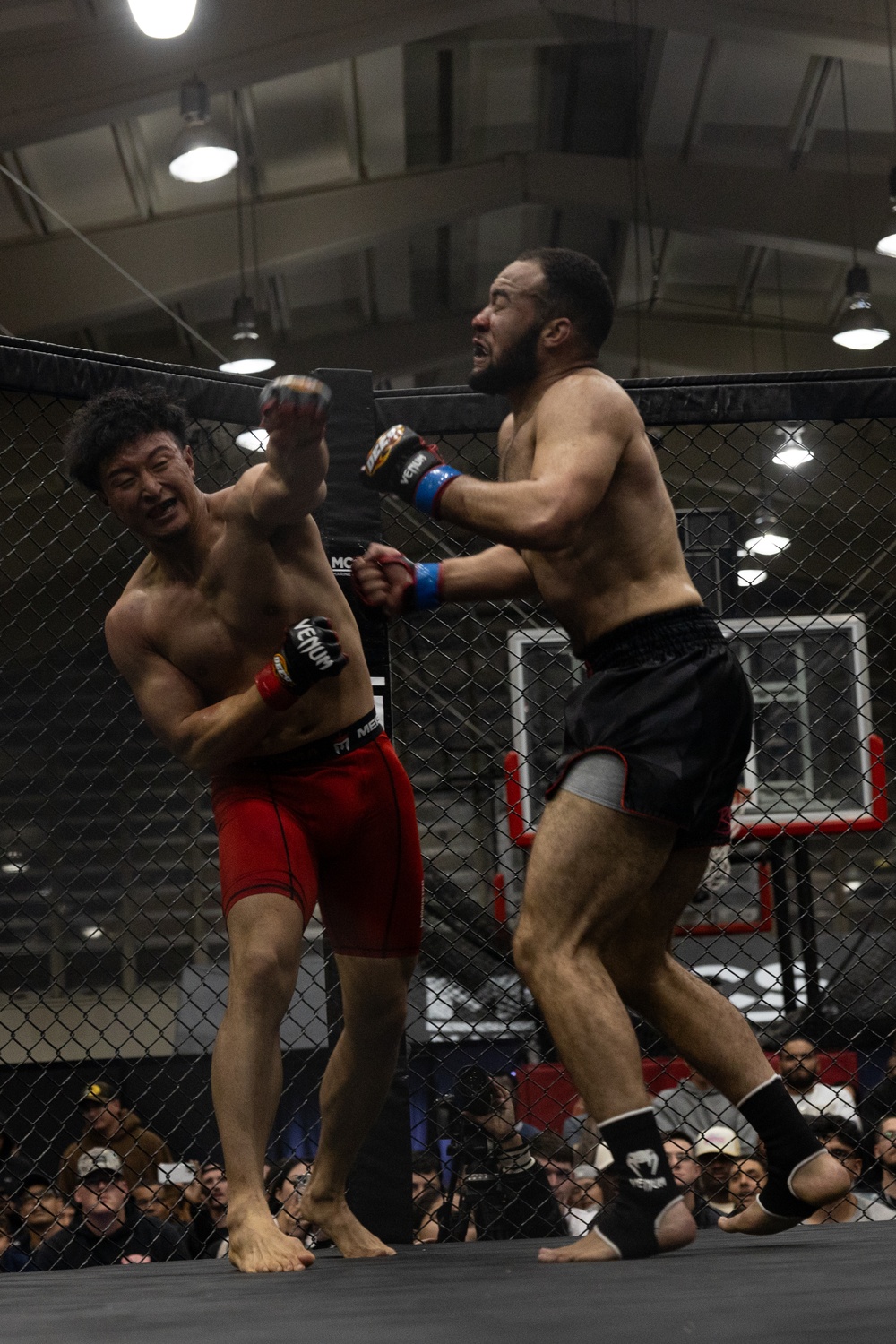 MCCS Okinawa hosts MMA Fight Night | 2024