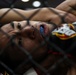 MCCS Okinawa hosts MMA Fight Night | 2024
