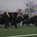 Africa Foreign Area Officers take the Army Combat Fitness Test