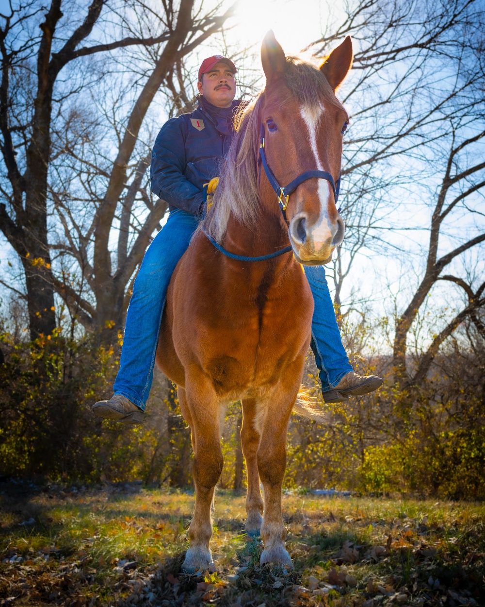 Sampson &amp; His Rider