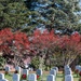 104th Fighter Wing volunteers with Wreaths Across America