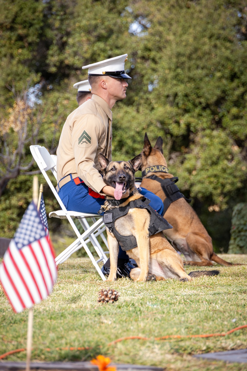 Valley Center Cemetery Celebrates Wreaths Across America 2024