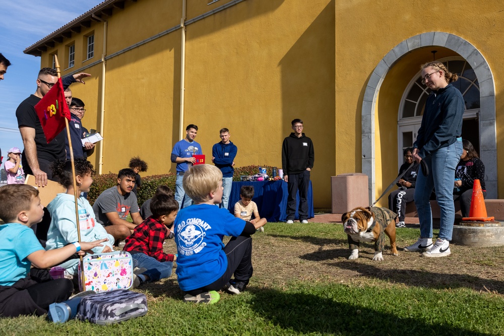 MCRD San Diego Devil Pups