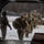 AKARNG aviators give 11th Airborne ‘Arctic Angels’ a lift during air assault training