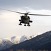 AKARNG aviators give 11th Airborne ‘Arctic Angels’ a lift during air assault training