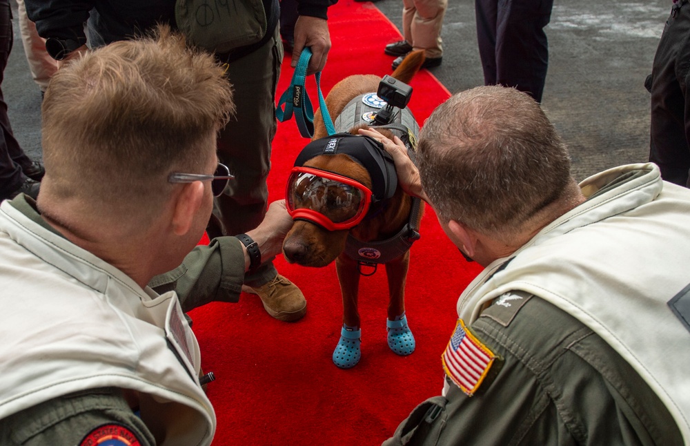 USS Carl Vinson (CVN 70) Welcomes Rudder, a Mental Health Facility Dog