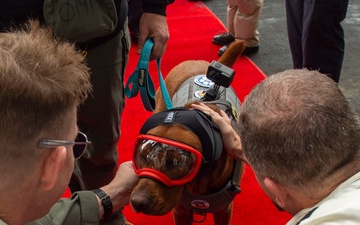 Captain Rudder, Arriving: An Expeditionary Facility Dog Arrives Aboard USS Carl Vinson (CVN 70)